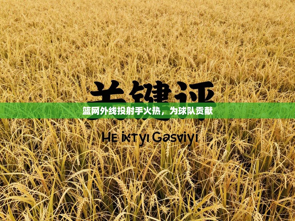 篮网外线投射手火热，为球队贡献  第2张