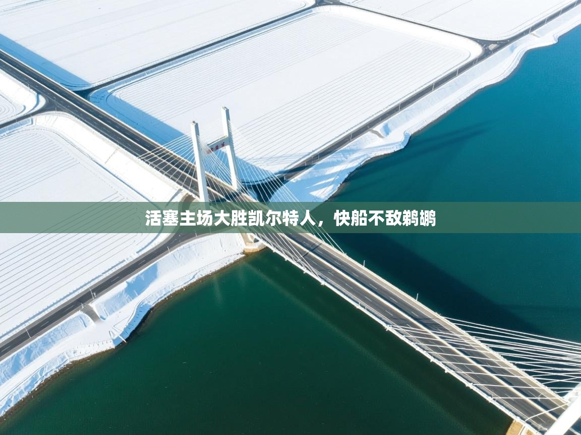 活塞主场大胜凯尔特人，快船不敌鹈鹕  第2张