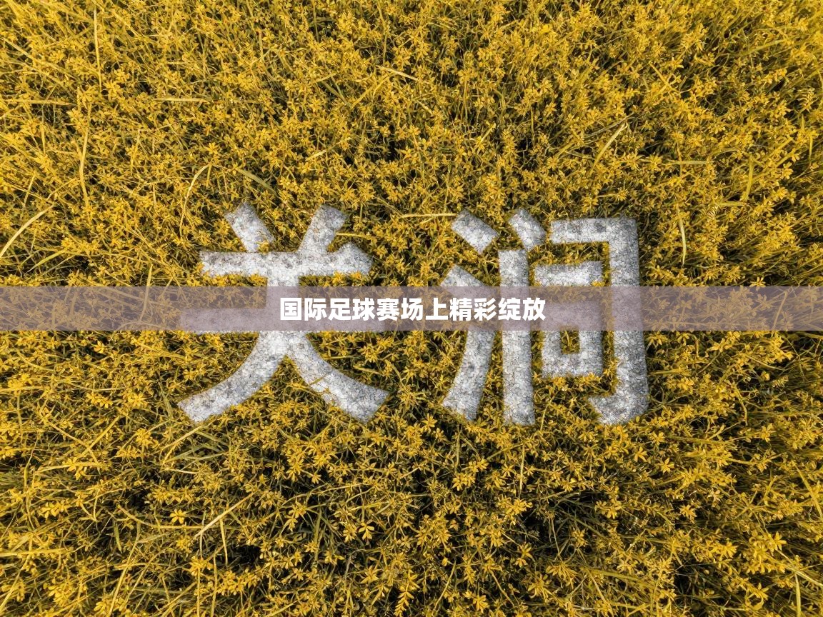 国际足球赛场上精彩绽放  第2张